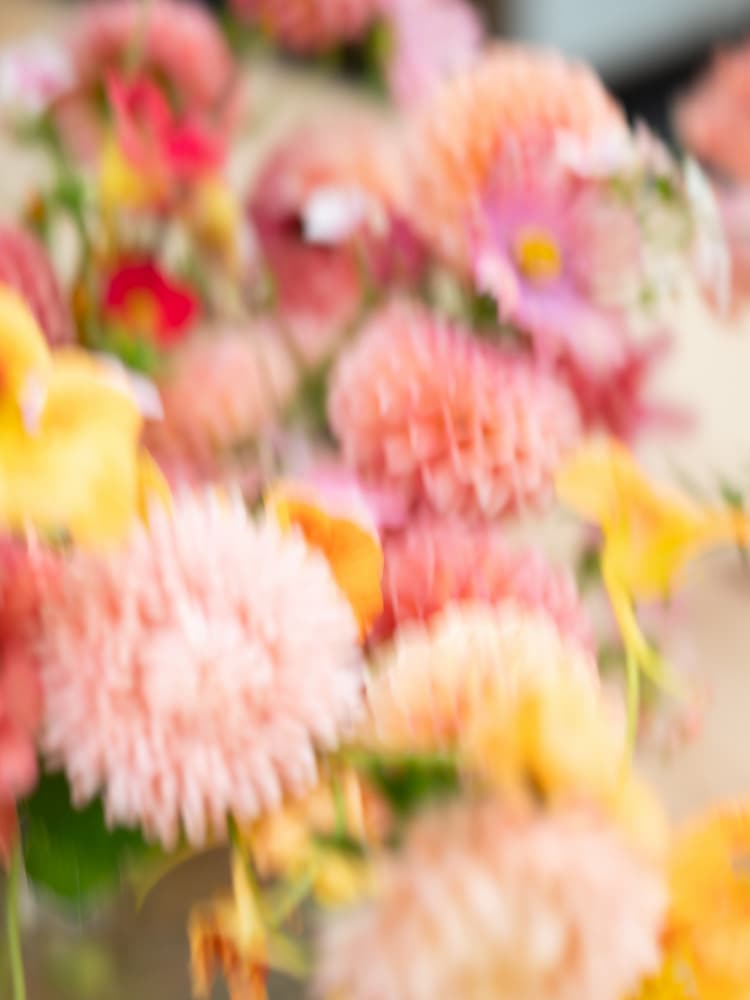 Moving Flowers by Raisa Zwart — canvas wall art