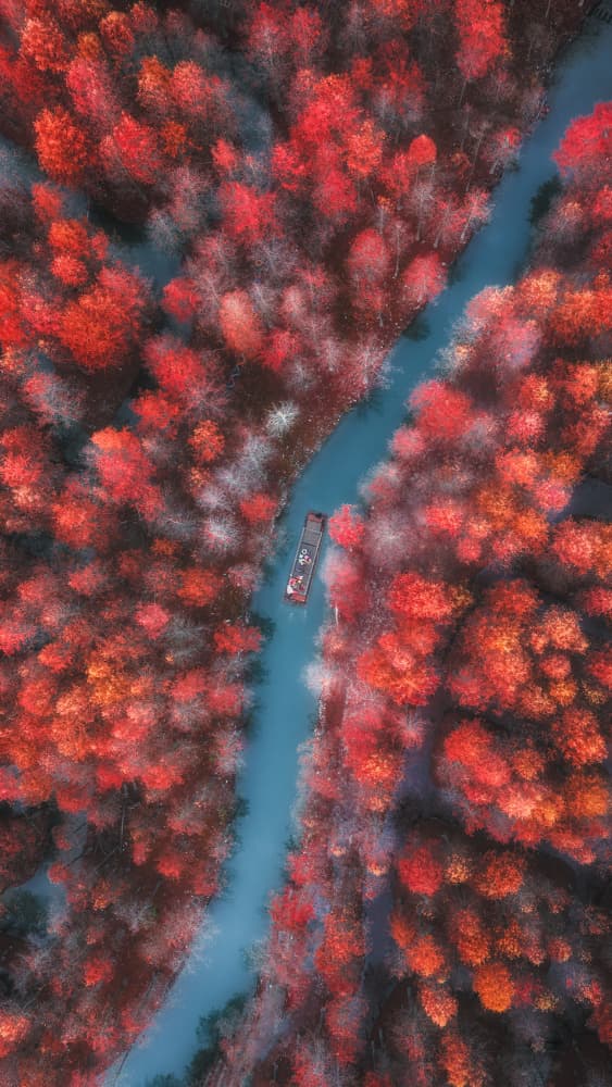 Red Forest River by Yuan Cui — canvas wall art