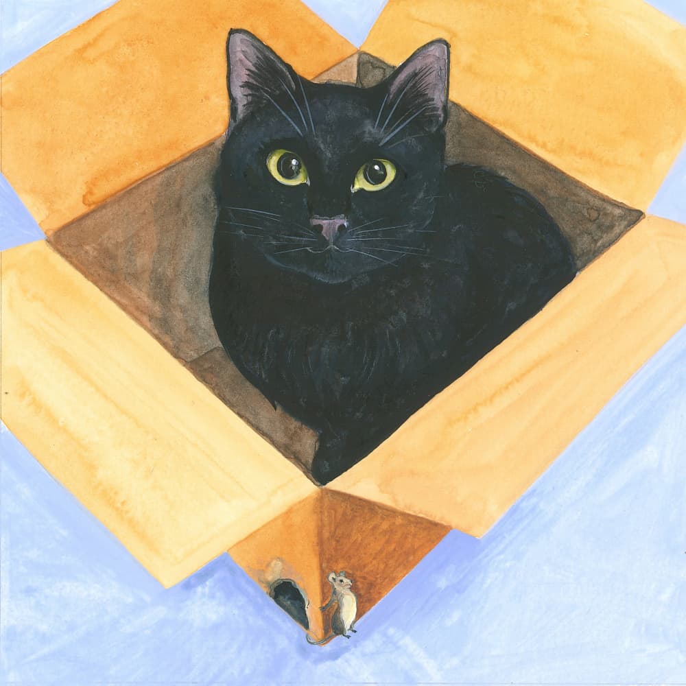Cat In the Box by Isabelle Brent — canvas wall art