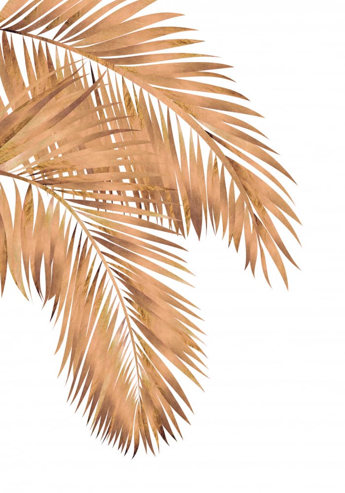 Golden Tropical Palms by Sarah Manovski — canvas wall art