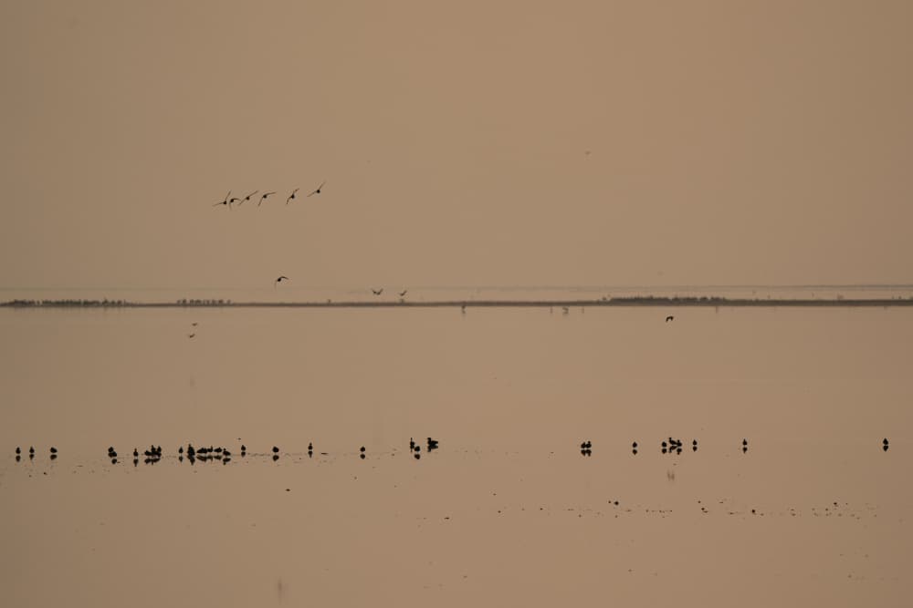 Serene Sky and Water Birds by Etienne Steenkamp — canvas wall art