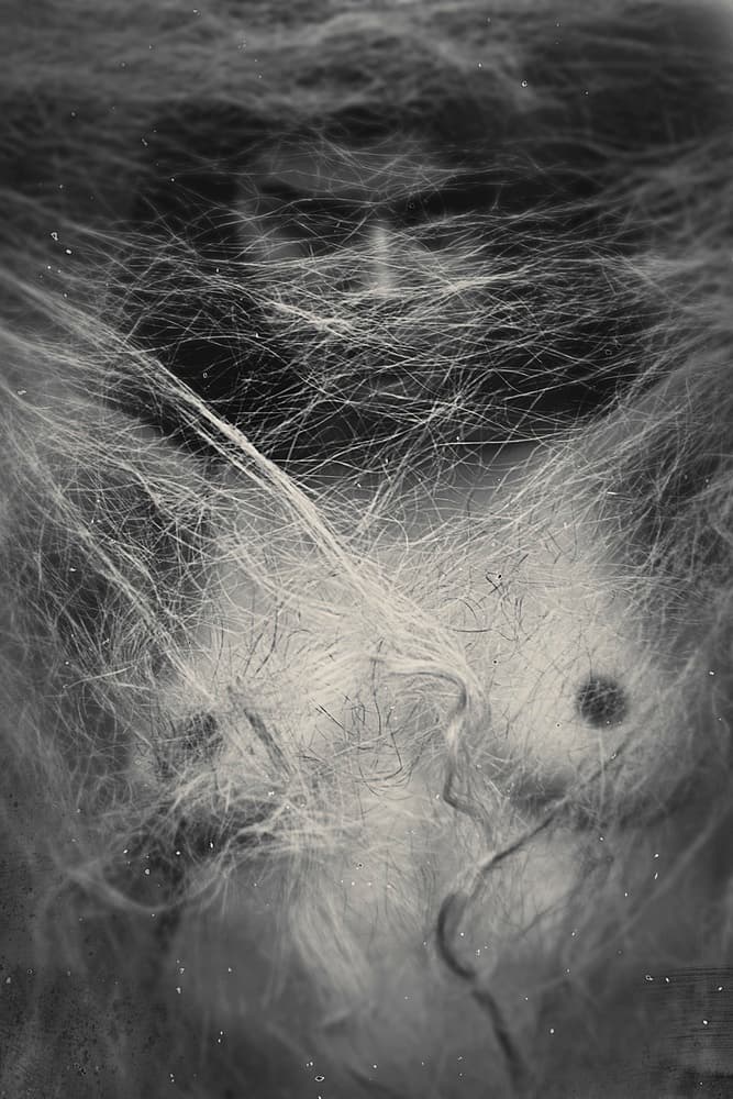 Tangled Ethereal Fibers by Bogdan Bouşcă — canvas wall art