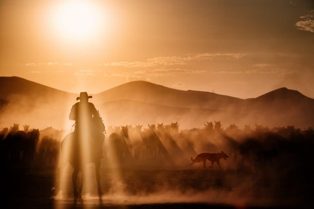 Golden Cowboy Sunset by M. Emre Erol — canvas wall art