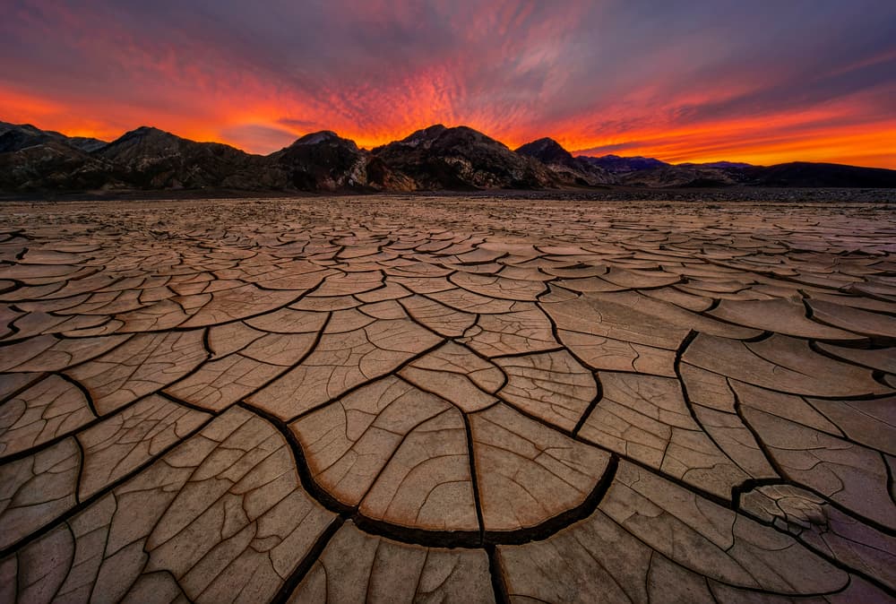 Vibrant Desert Sunset Landscape by Lydia Jacobs — canvas wall art