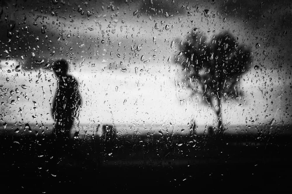 Rainy Window Silhouette by Ali Ayer — canvas wall art