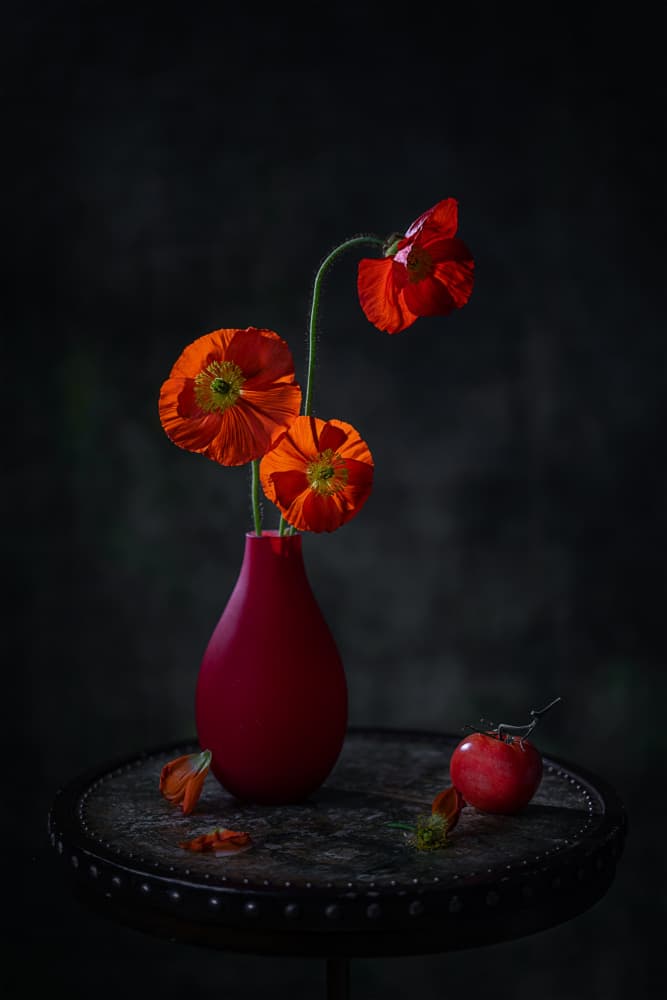 Red Poppies Dark Still Life by Lydia Jacobs — canvas wall art