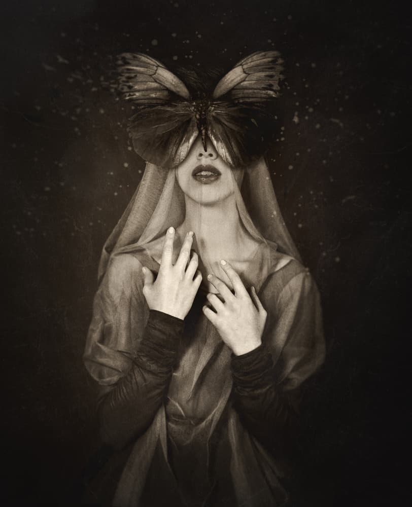 Ethereal Butterfly Mask by Svetlana Melik-Nubarova — canvas wall art