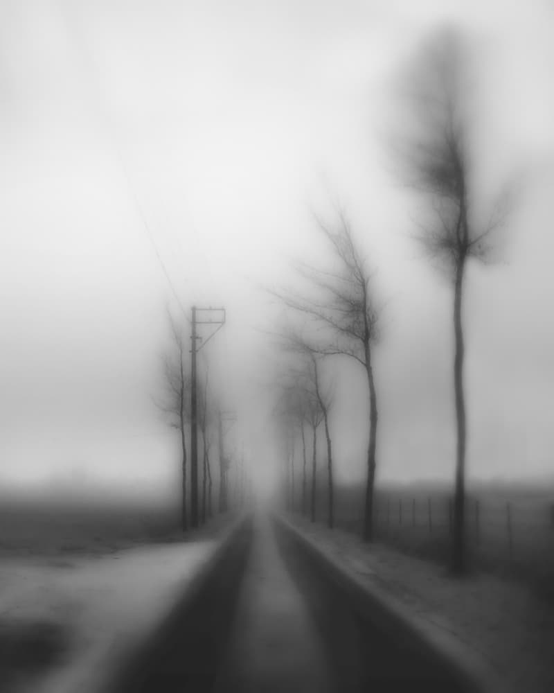Misty Country Road by Yvette Depaepe — canvas wall art