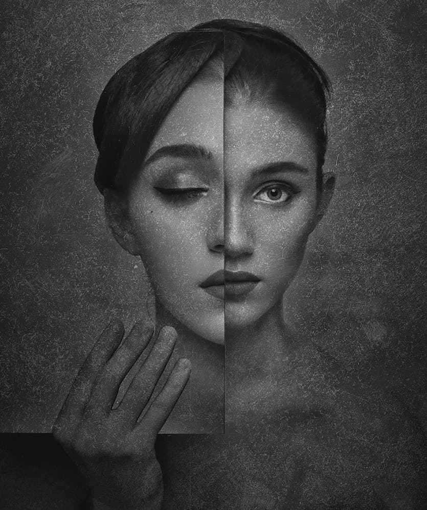 Elegant Split Portrait by Anthony Skip — canvas wall art