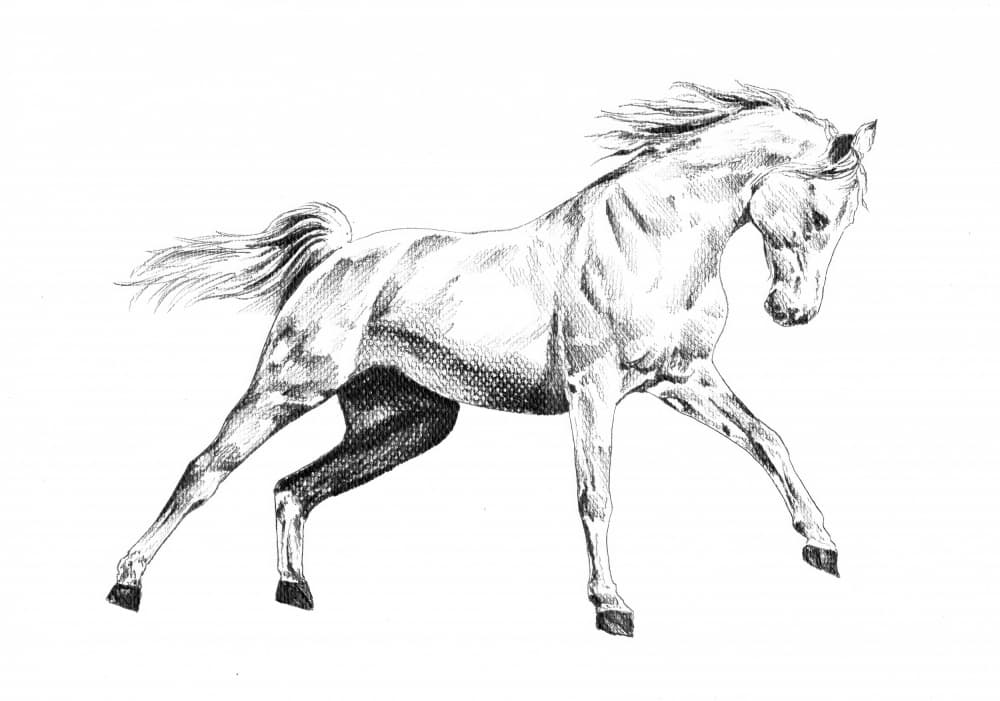 Majestic Horse Gallop by Kulik — canvas wall art