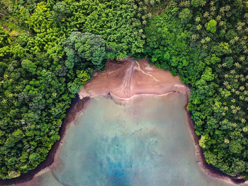 Lush Tropical Bay by Serge Melesan — canvas wall art