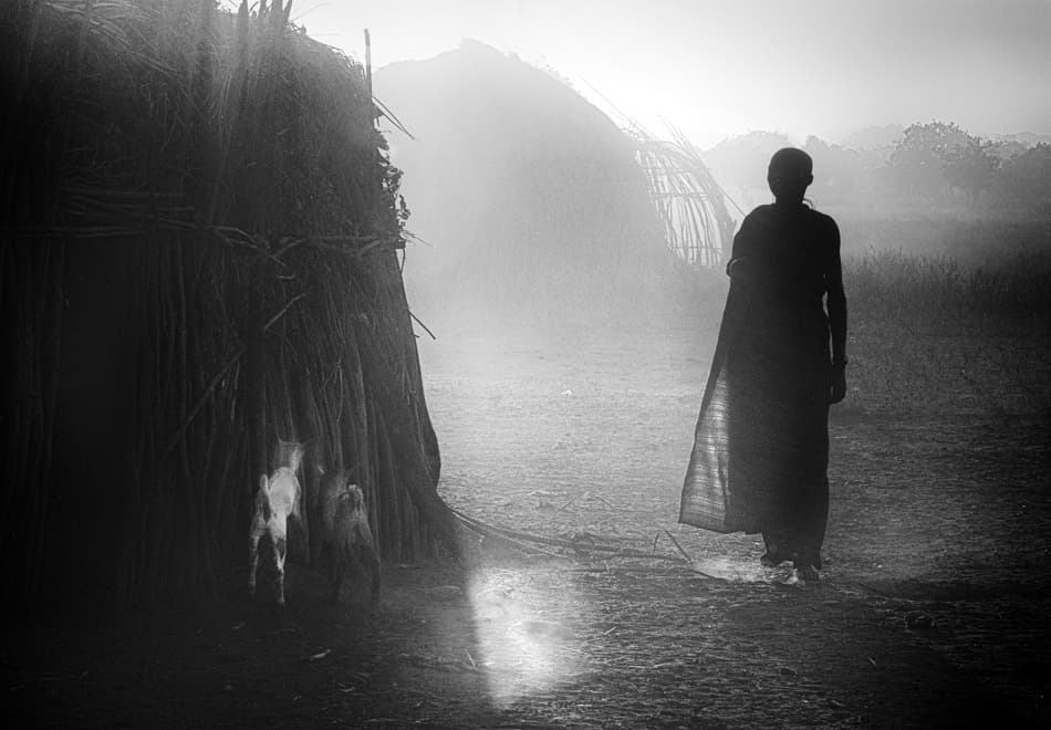 Misty Morning Silhouette by Izidor Gasperlin — canvas wall art