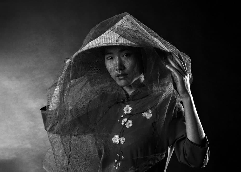 Mysterious Asian Veil by Eyal Amer — canvas wall art
