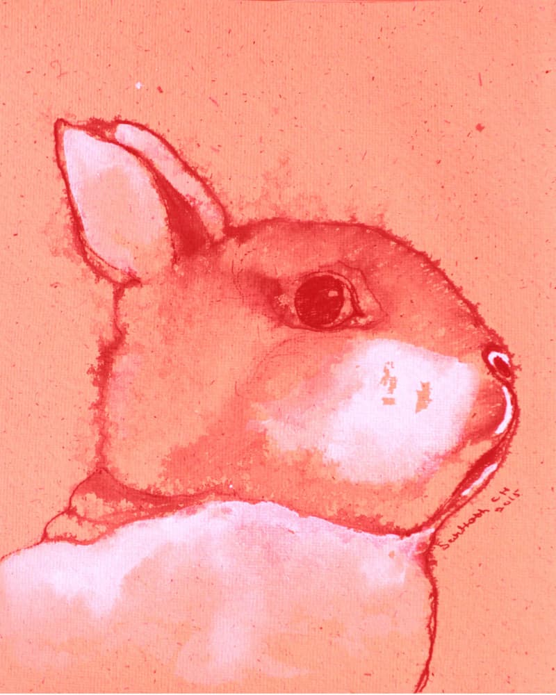 Vibrant Bunny Portrait by Santhosh ch — canvas wall art