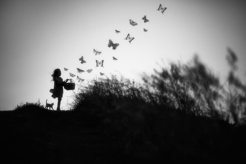 Childhood Butterfly Dreams by Ummu Nisan Kandilcioglu — canvas wall art