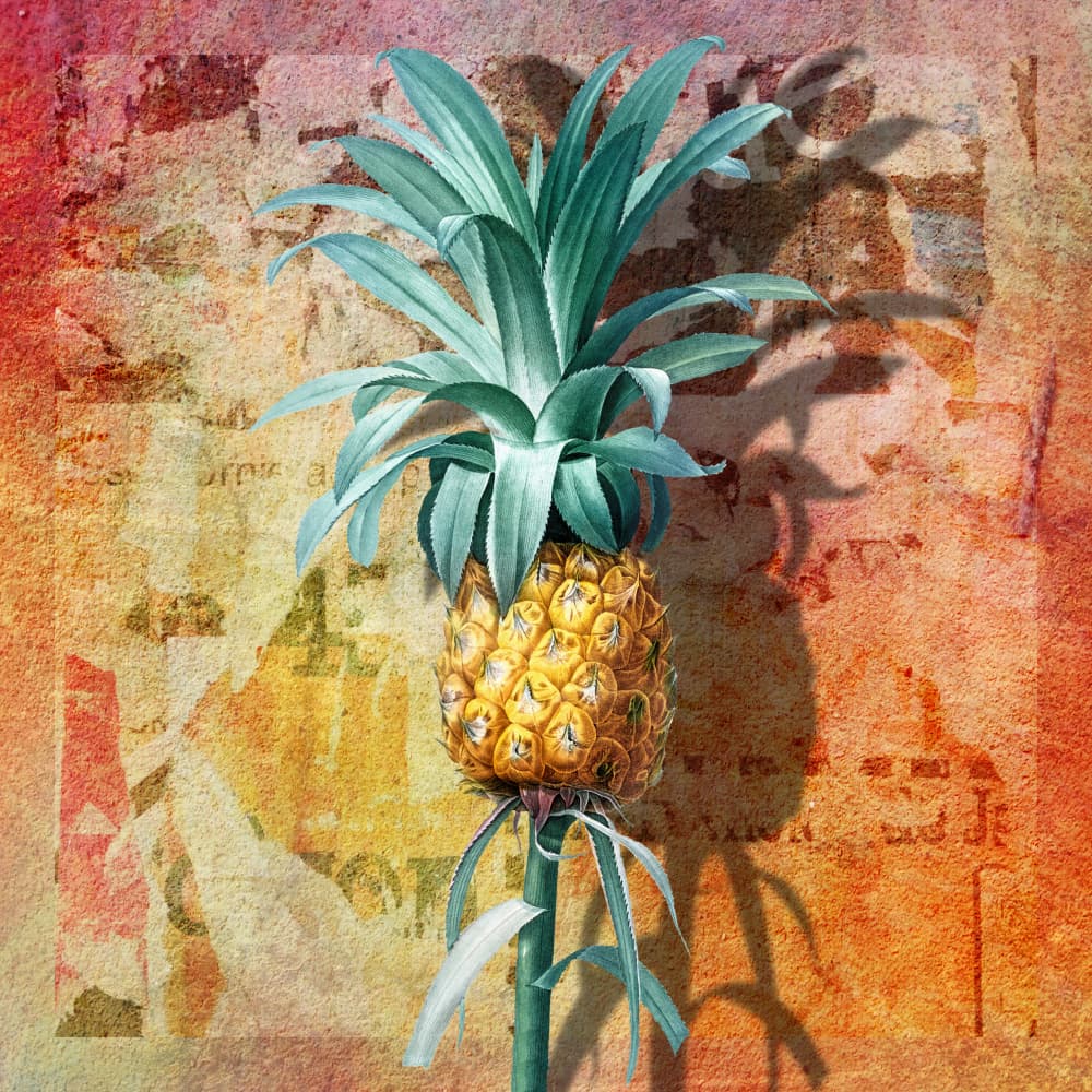 Vintage Tropical Pineapple by Marja van den Hurk — canvas wall art