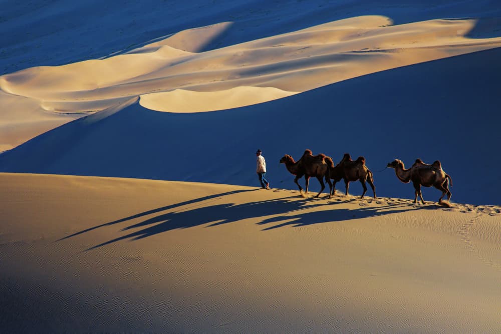 Golden Desert Journey by Sally Widjaja — canvas wall art