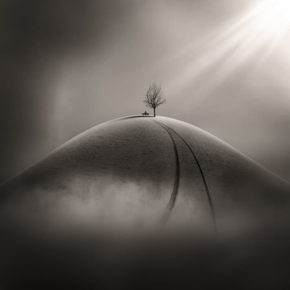 Solitary Tree Sun Rays by Hadi Malijani (Malenjani) — canvas wall art