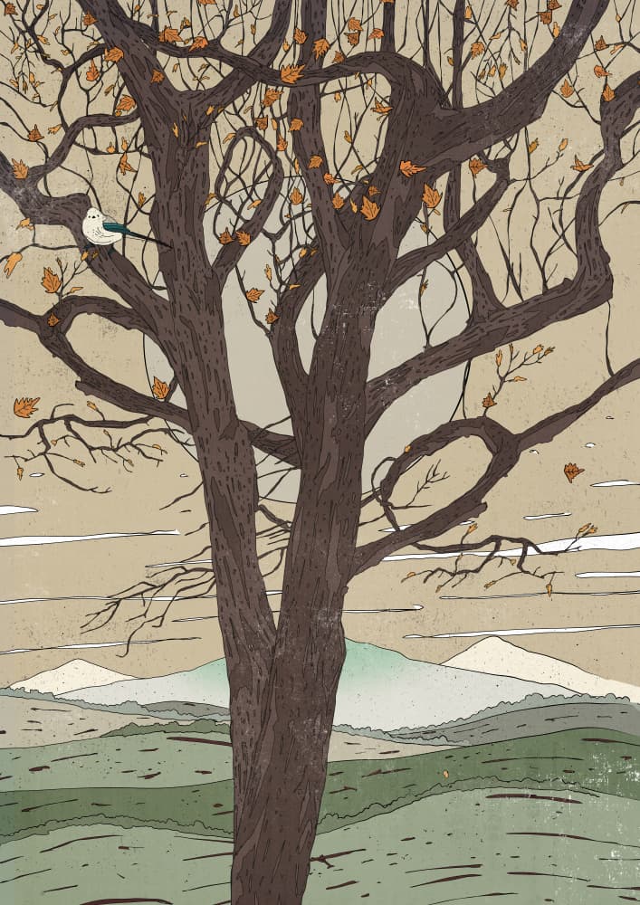 Quiet Autumn Tree Scene by Nicholas — canvas wall art