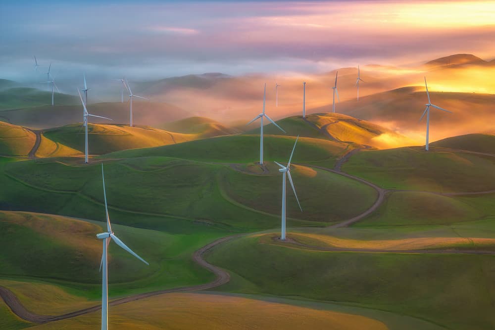 Sunrise Wind Turbines Fog by Mei Xu — canvas wall art
