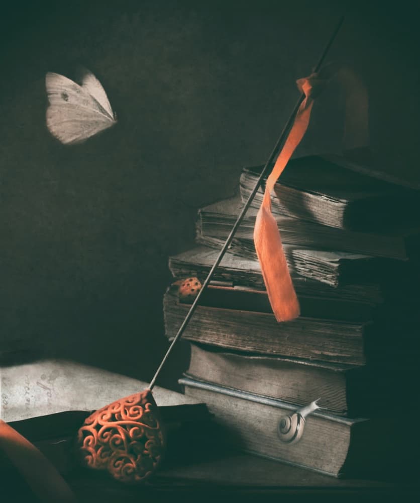 Dark Academia Butterfly by Delphine Devos — canvas wall art