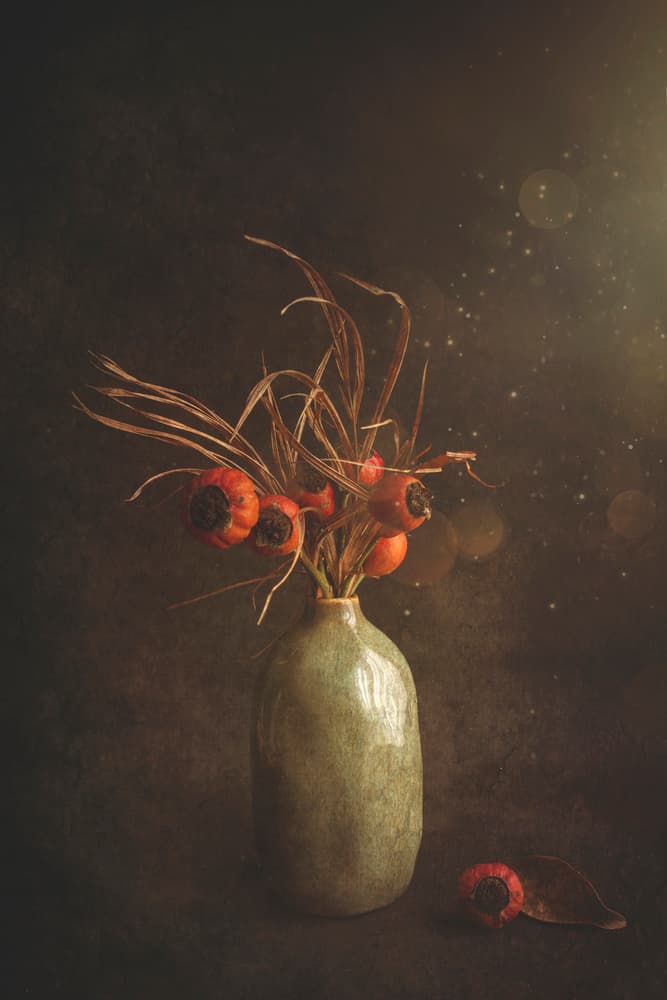Moody Autumn Berries by Cicek Kiral — canvas wall art