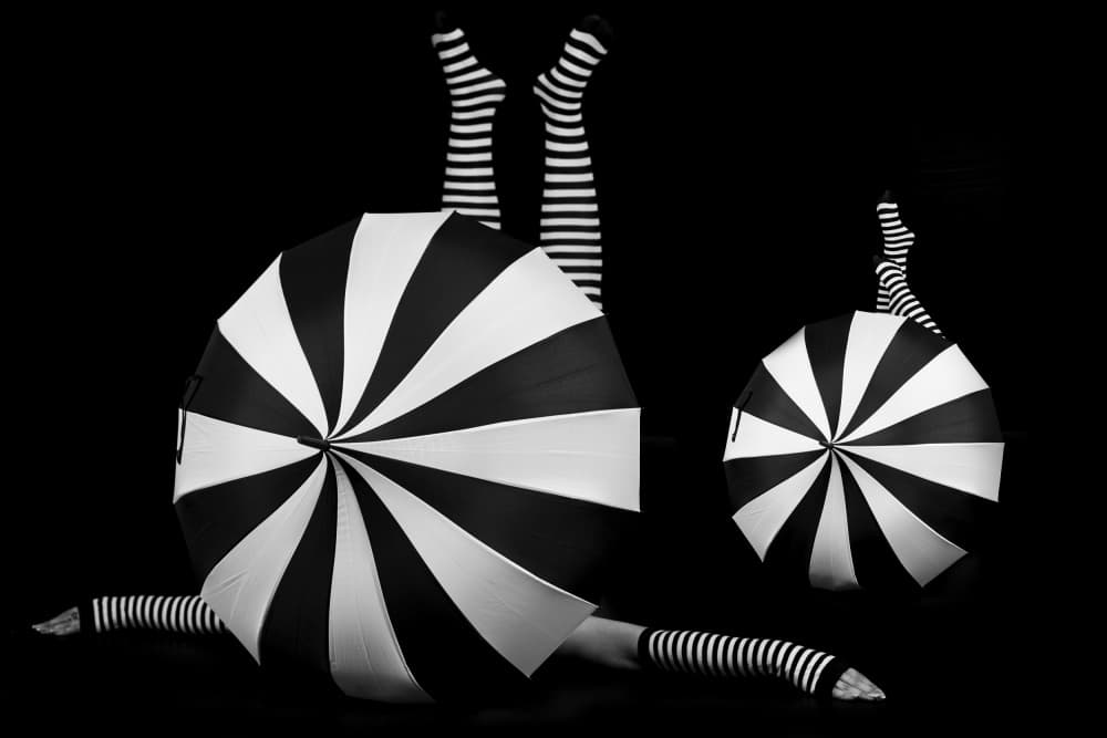 Whimsical Umbrella Legs by Eyal Alcalay — canvas wall art