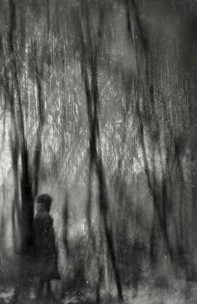 Mysterious Forest Figure by Teruhiko Tsuchida — canvas wall art