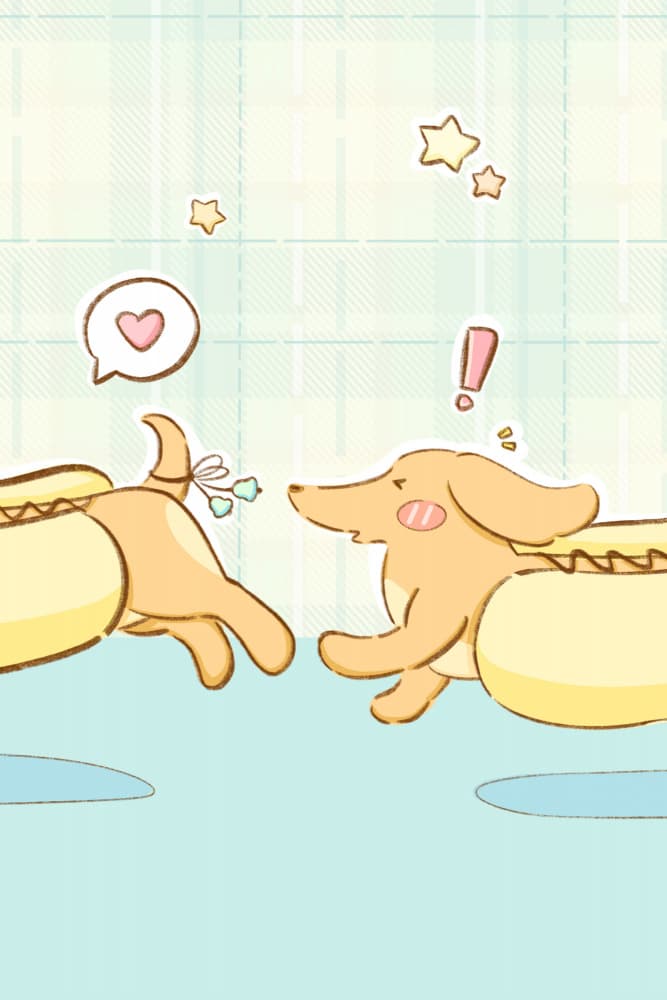 Cute Dachshund Love by Xuan Thai — canvas wall art