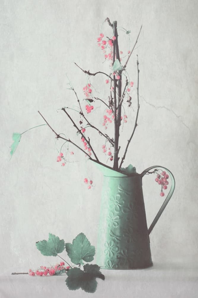 Delicate Berry Still Life by Delphine Devos — canvas wall art