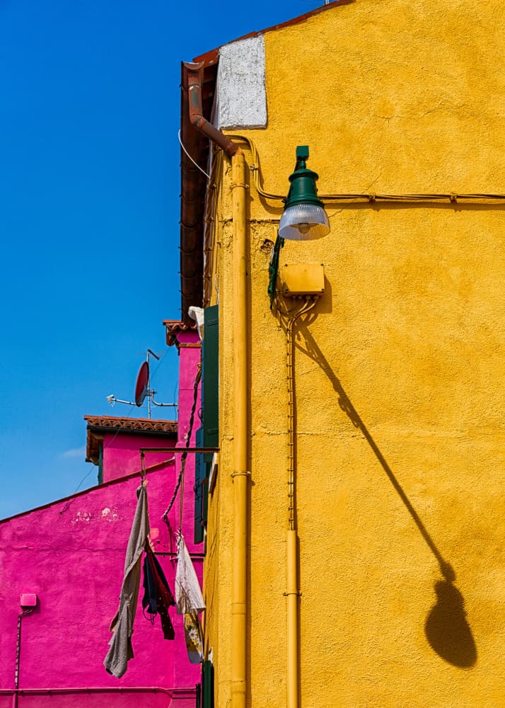 Vibrant Yellow and Pink by Tommaso Pessotto — canvas wall art