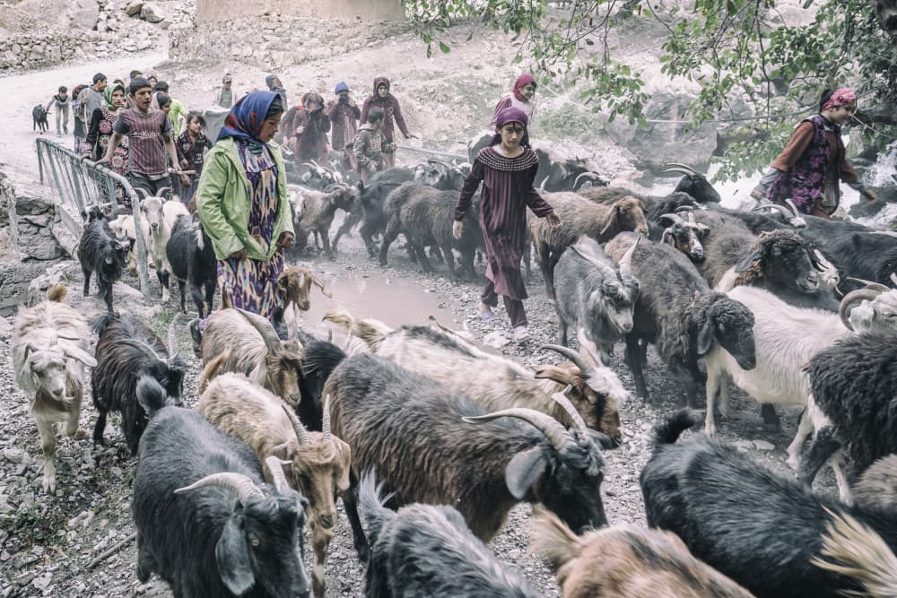 Herding Through the Village by Marcel Rebro — canvas wall art