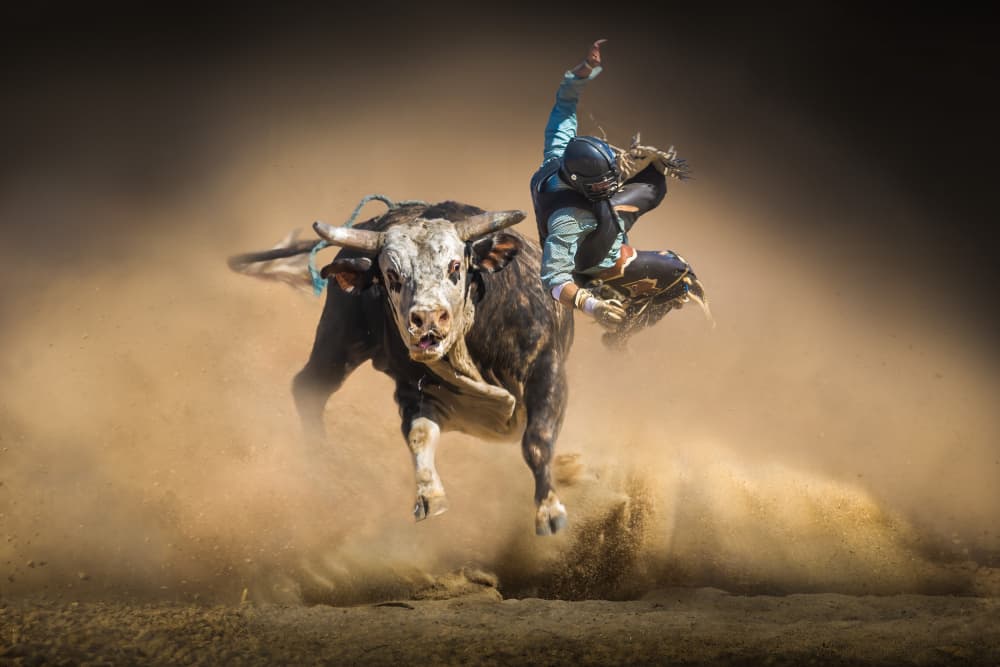 Bucking Bull Rider by Irene Wu — canvas wall art