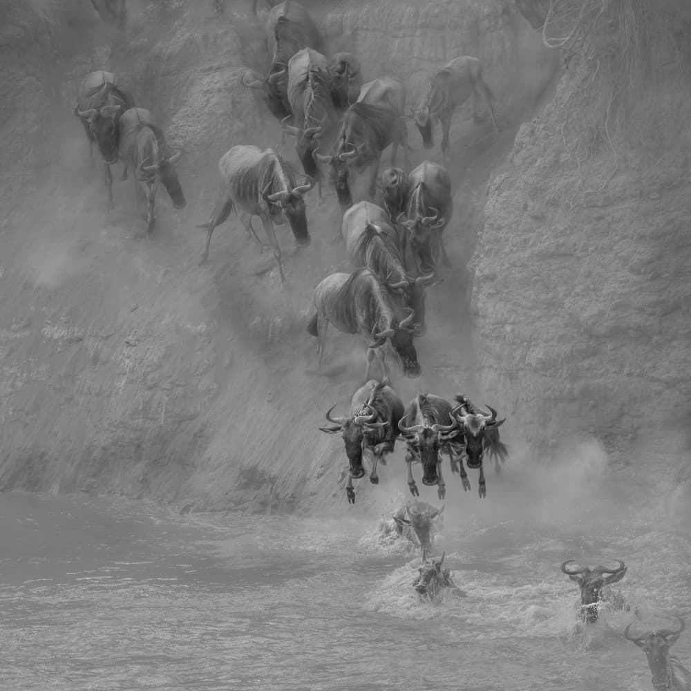 Great Migration Rush by Hong Chen — canvas wall art