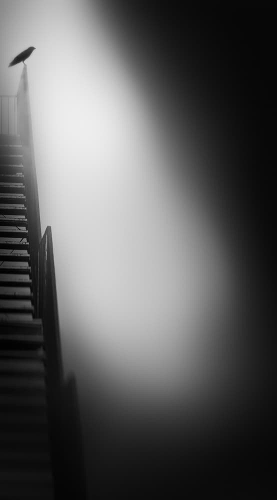 Solitary Crow Misty Stairs by Nic Keller — canvas wall art