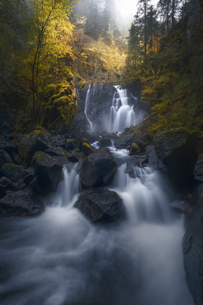 Misty Forest Waterfall by Ole Henrik Skjelstad — canvas wall art