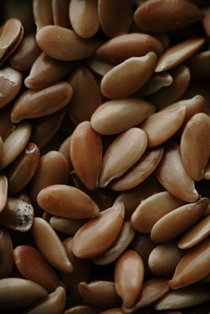 Brown Flax Seeds by Javier Pardina — canvas wall art