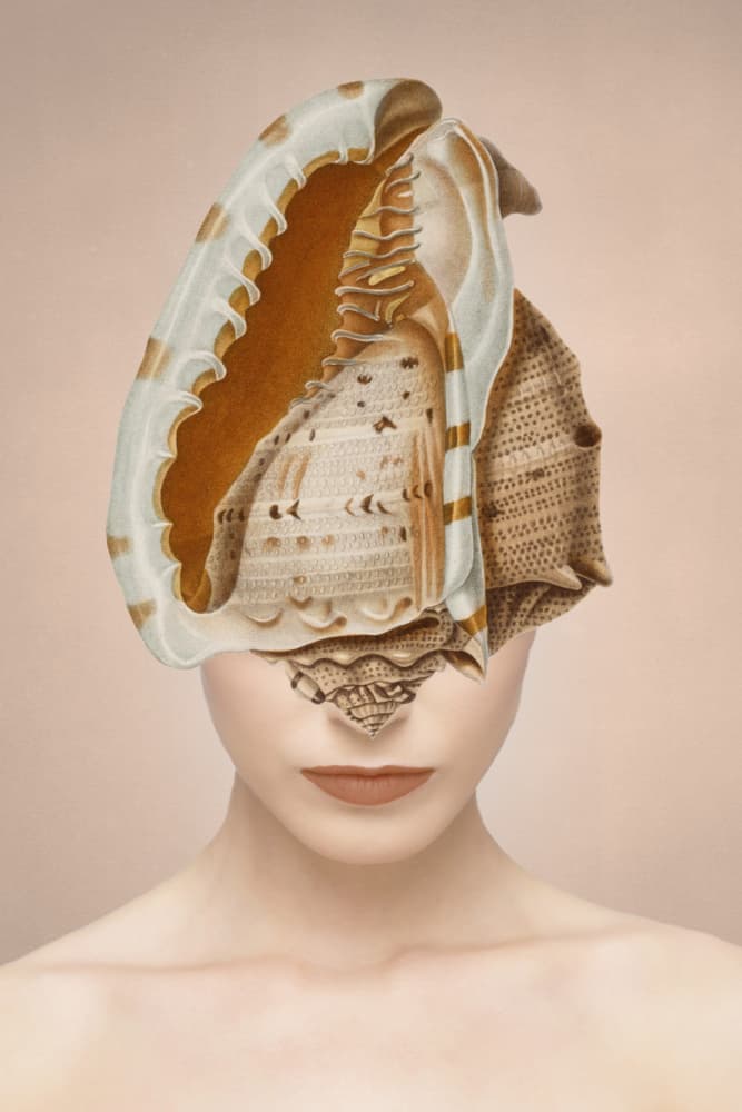 Seashell Woman by Marja van den Hurk — canvas wall art