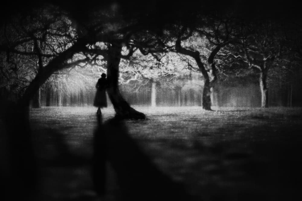 Solitary Figure Forest by Teruhiko Tsuchida — canvas wall art
