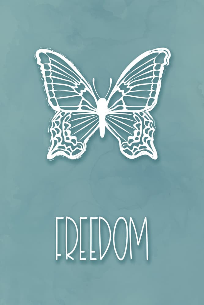 White Butterfly Freedom by Martina — canvas wall art