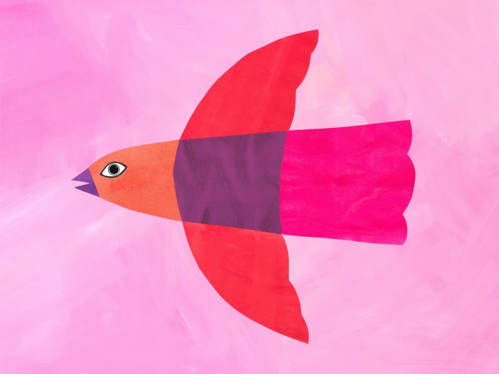Colorful Flying Bird by Isabelle Brent — canvas wall art