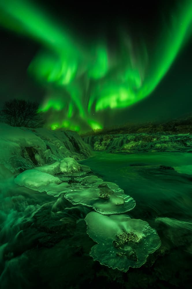 Green Aurora River by Lydia Jacobs — canvas wall art