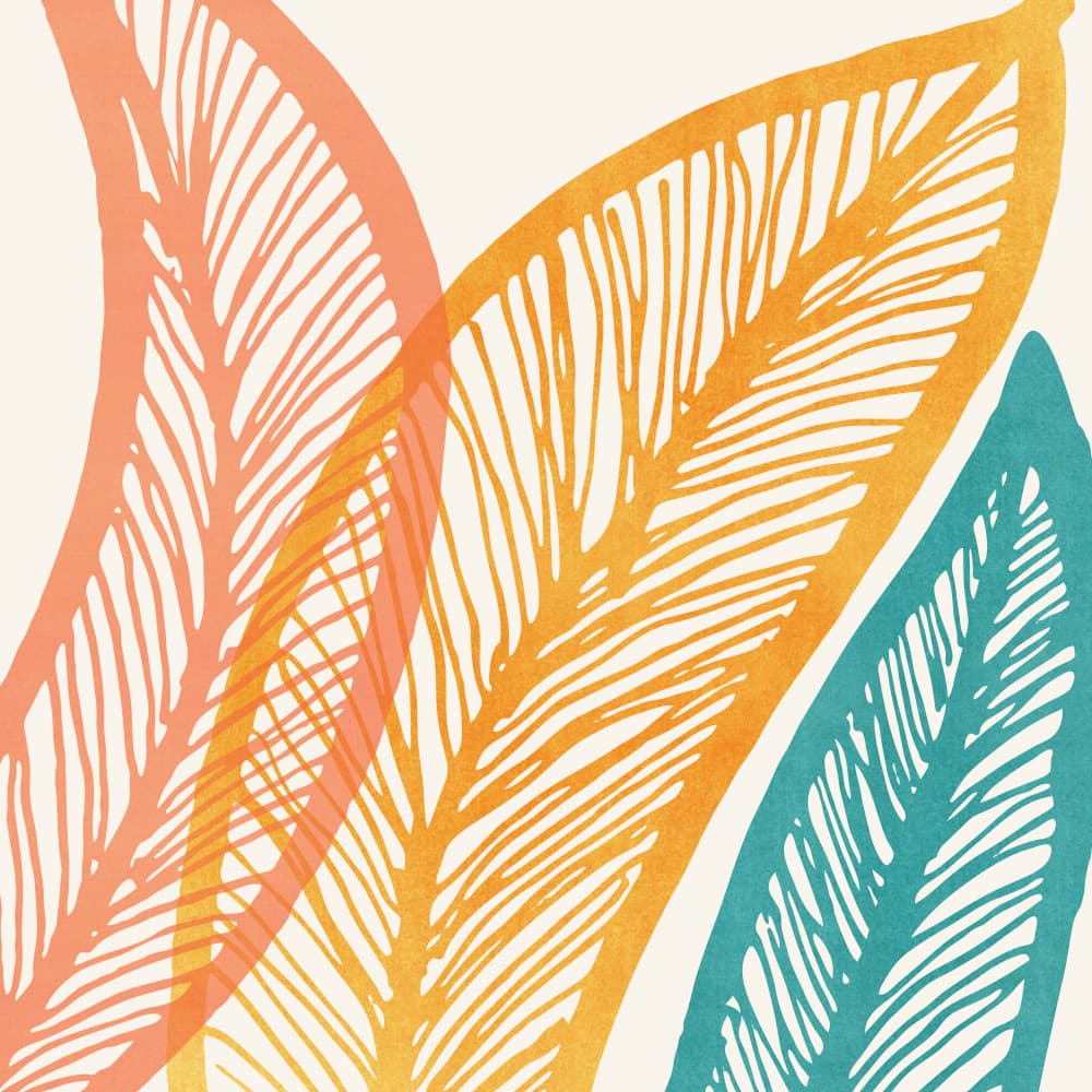 Leaf Study 1 by Kristian Gallagher — canvas wall art