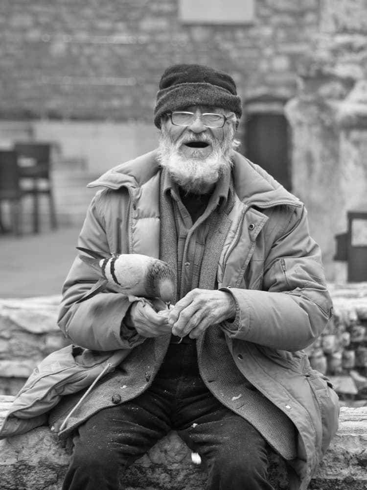 Old Man Feeds Pigeon by Marko Buntic — canvas wall art