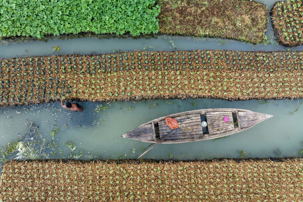 Floating Field Farmer by Azim Khan Ronnie — canvas wall art
