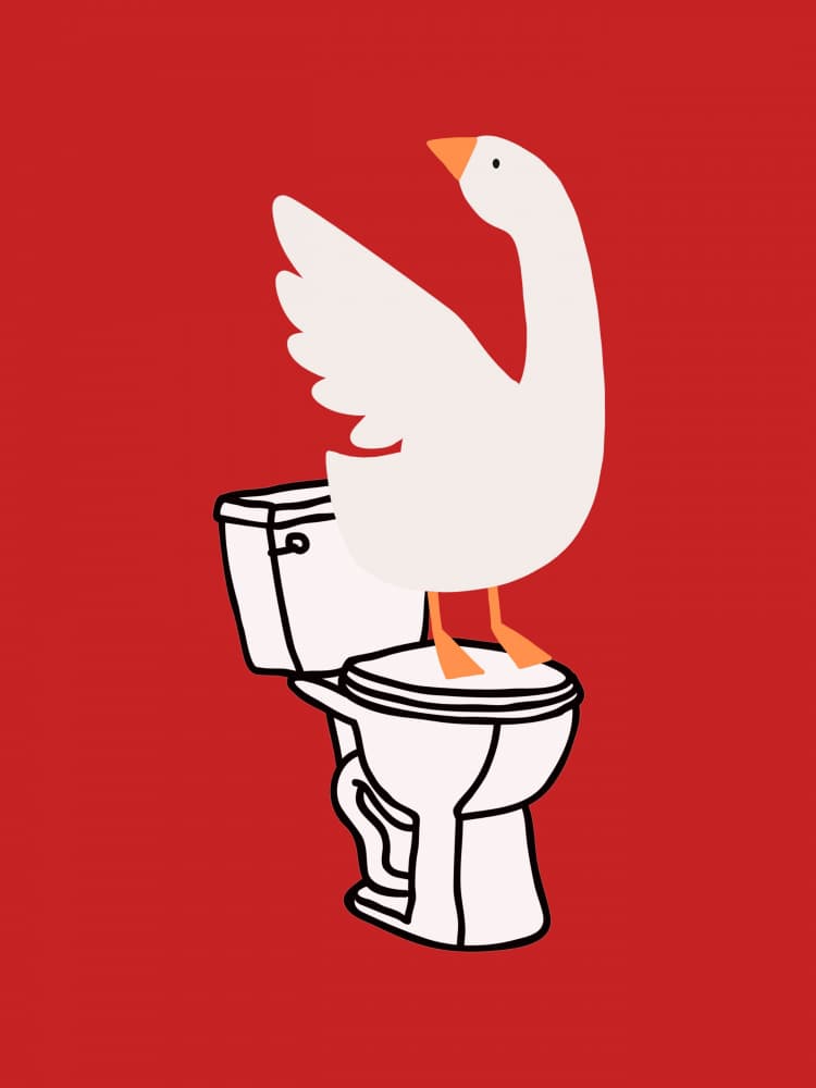 Silly Goose Toilet by Jolly and Dash — canvas wall art
