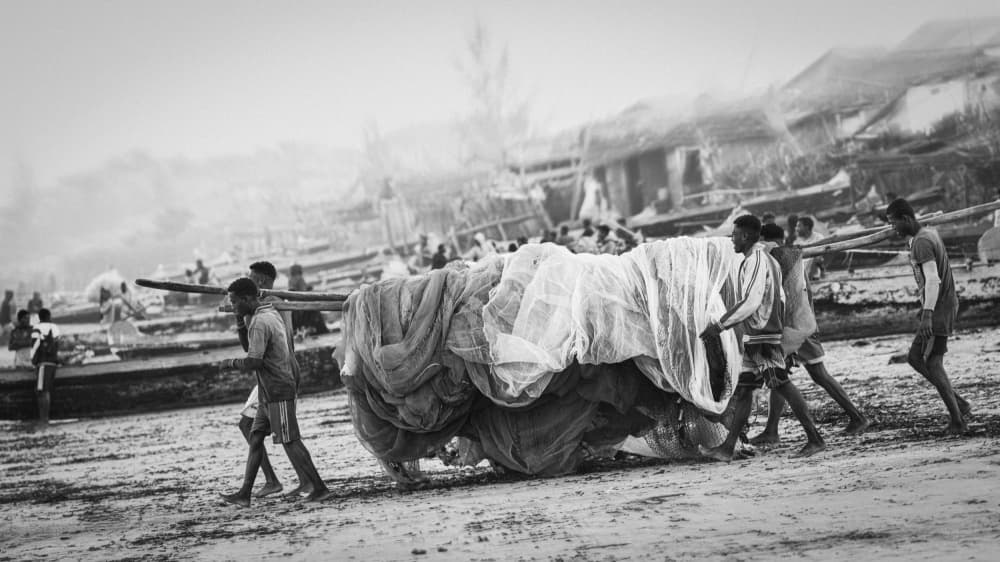 Hauling the Fishing Net by António Carreira — canvas wall art