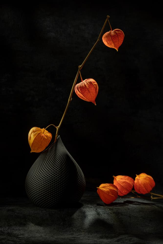 Chinese Lanterns Still Life by Igor Kopcev — canvas wall art