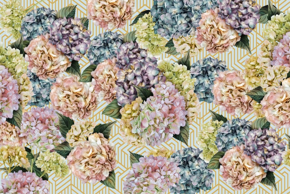 Pastel Hydrangea Blooms by Sue Skellern — canvas wall art