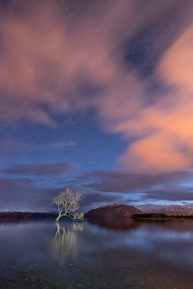 Wanaka Tree Starry Night by Hua Zhu — canvas wall art